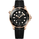 210.62.42.20.01.002